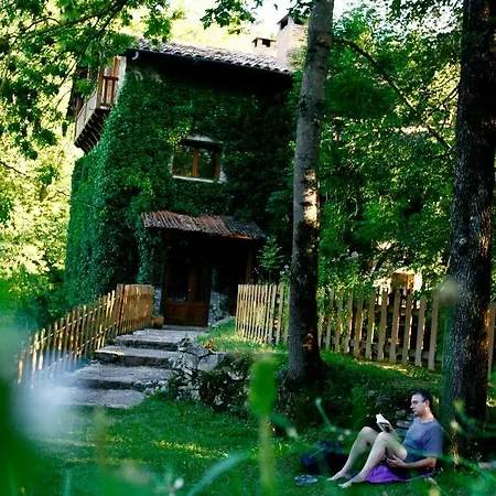 Camping Camping Moli Serradell